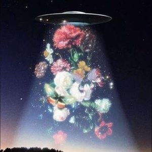 Meet your Posher, Arleta